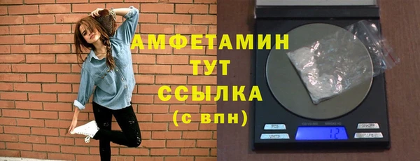 гидра Аша