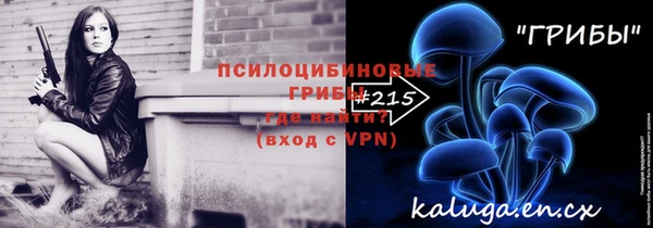 молекула духа Нея