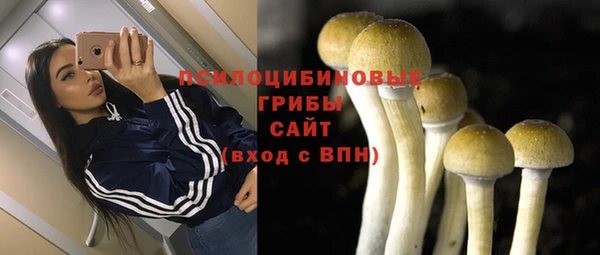 молекула духа Нея