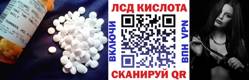 дарк нет состав  где продают наркотики  Нефтекумск  Лсд 25 экстази ecstasy 