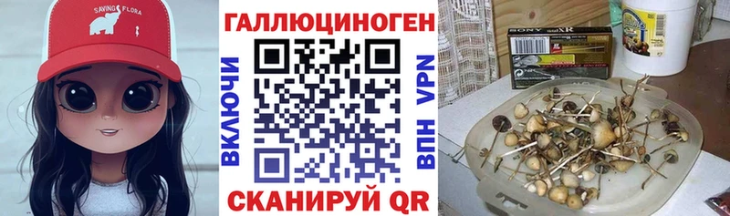 хочу наркоту Нефтекумск Псилоцибиновые грибы MAGIC MUSHROOMS