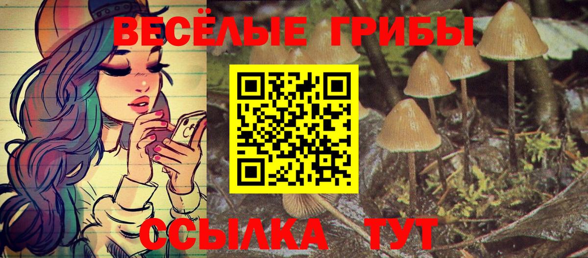 Псилоцибиновые грибы MAGIC MUSHROOMS  Вход с VPN  Нефтекумск 