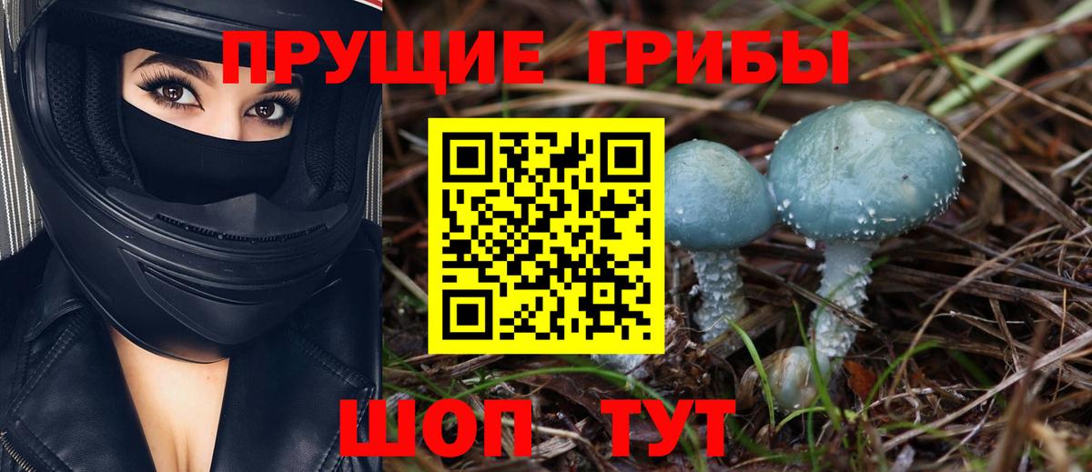 Псилоцибиновые грибы прущие грибы Нефтекумск